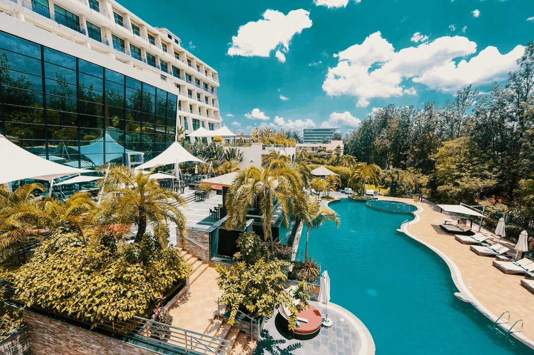 Hotel pool and terrace surrounded by palm trees